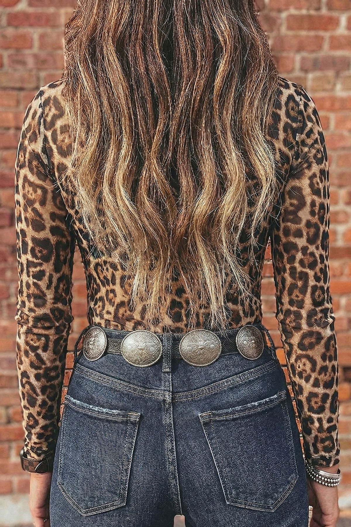Print Sheer Mesh Long Sleeve Mock Neck Top — More Colors